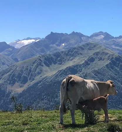 Le 41 Avenue Foch Bagnères-de-Luchon