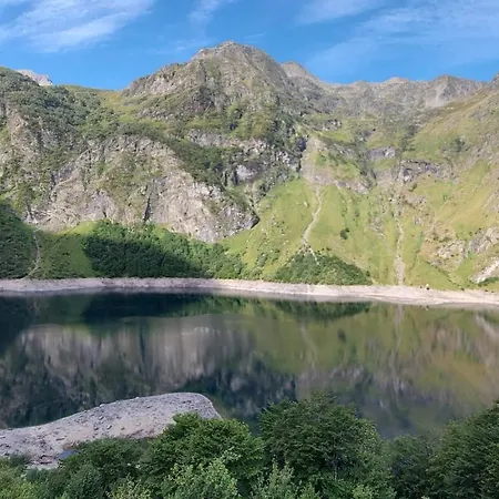 Le 41 Avenue Foch בית הארחה