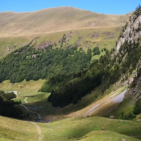 Le 41 Avenue Foch Pensión